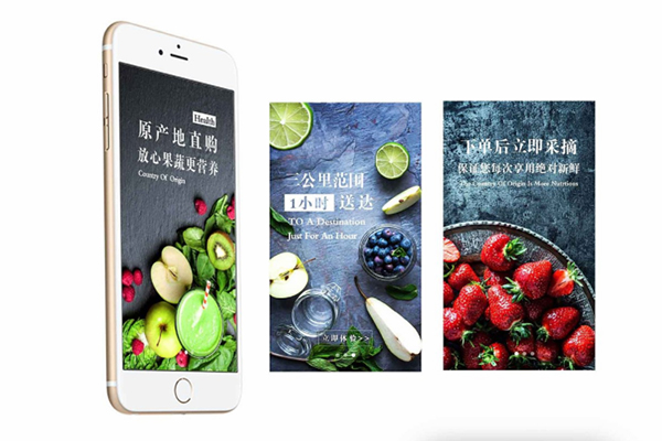 生鮮電商2019年發(fā)展報(bào)告