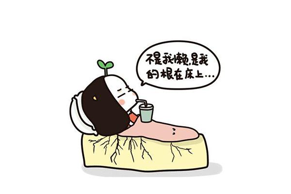 外賣系統(tǒng)哪家好？