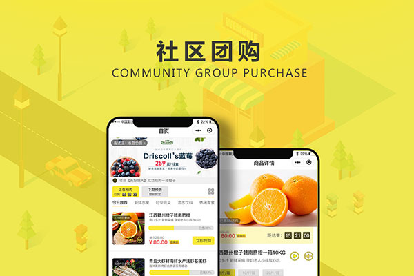 社區(qū)團(tuán)購平臺如何做?需要哪些工作?